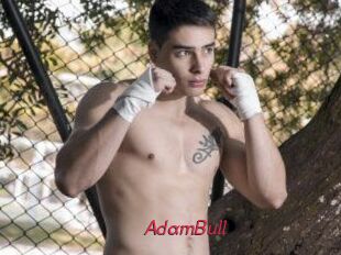 AdamBull