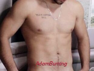 AdamBurning