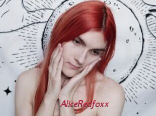 AliceRedfoxx