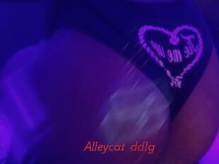 Alleycat_ddlg