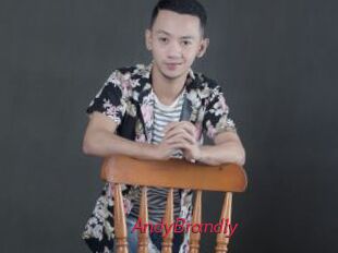 AndyBrandly
