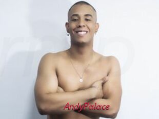 AndyPalace