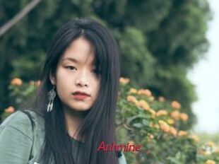 Anhmine