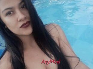 AnyMeel