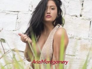 AriaMontgomery