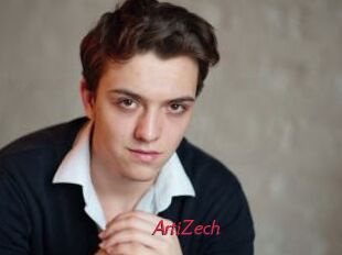 ArtiZech