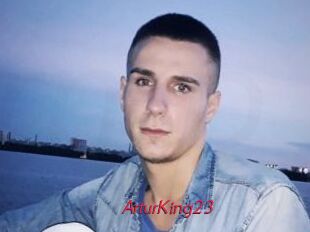 ArturKing23
