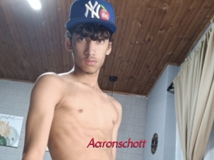 aaronschott Red Movie Post