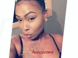 Acacia_rowe