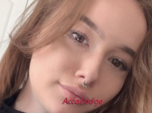 Accabodge