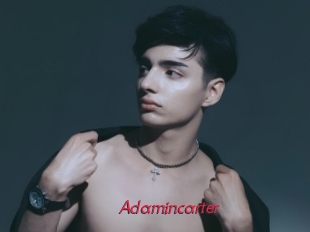 adamincarter Red Movie Post