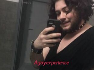 Agayexperience