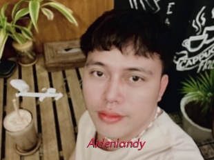 Aidenlandy