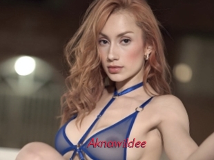 Aknawildee