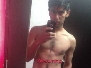 Alejburning