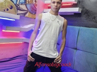 Alfonsobigcoock