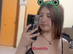 Aliceekitty