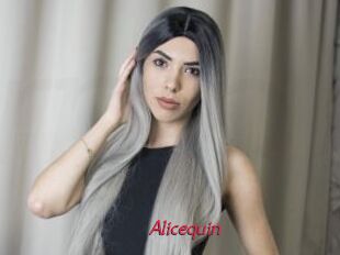 Alicequin
