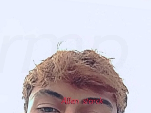 Allen_starck