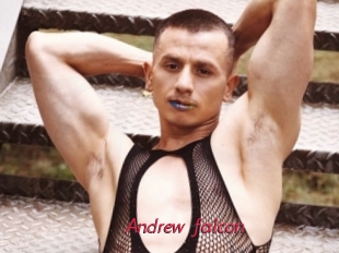 Andrew_falcon