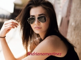 Andrianamartinez