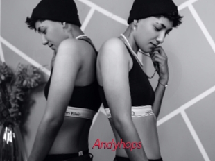 Andyhops