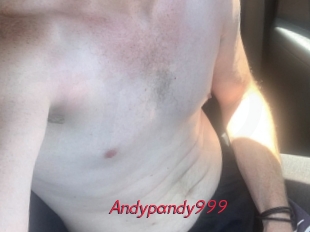 Andypandy999