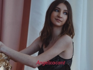 Angelicacant