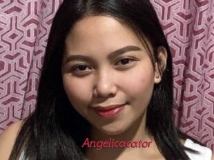 Angelicacator
