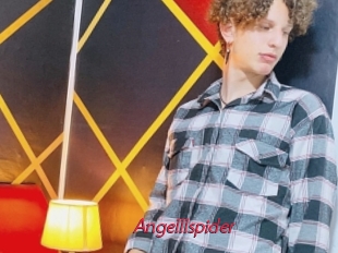 Angelllspider