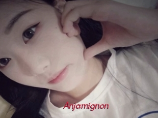 Anjamignon