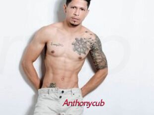 Anthonycub