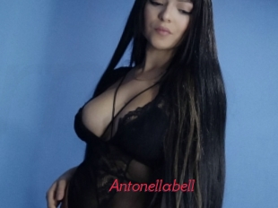 Antonellabell
