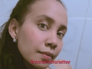 Antonellabrunettee