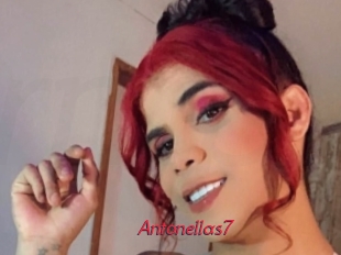 Antonellas7