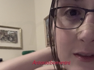 Antoniaborromini
