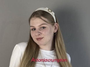 antoniacrumpton Red Movie Post