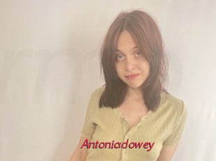 Antoniadowey