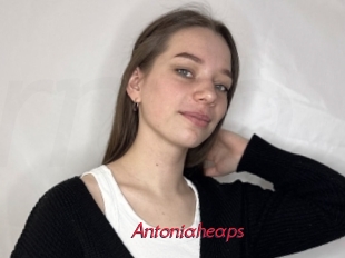 Antoniaheaps