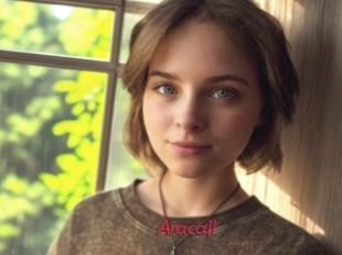 Aracall