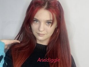 Arieldiggle