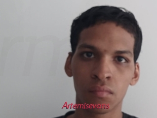 Artemisevans