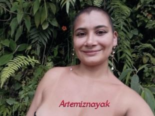 Artemiznayak