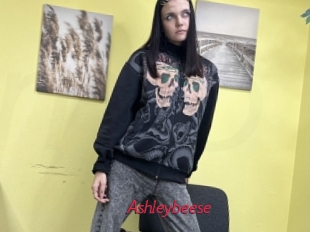 Ashleybeese