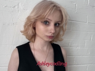 Ashleycodling