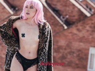 Asshleyrose