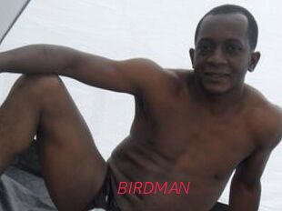 BIRDMAN Red Movie Post