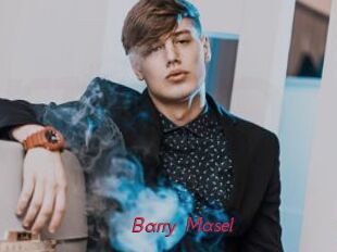 Barry_Masel
