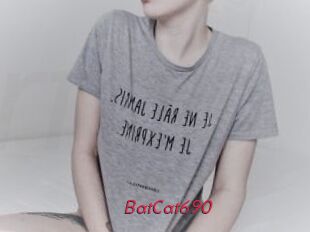 BatCat690