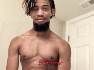 Bigpapasir